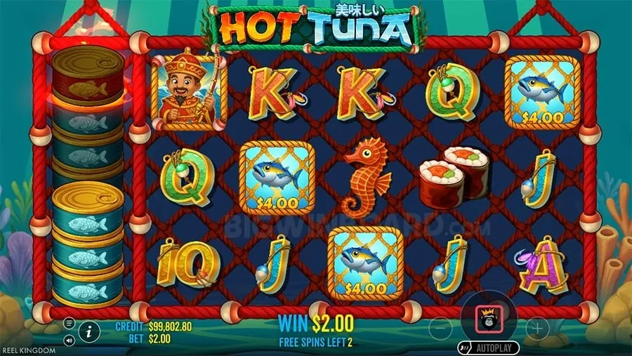 Secure online gaming platform with 24/7 support